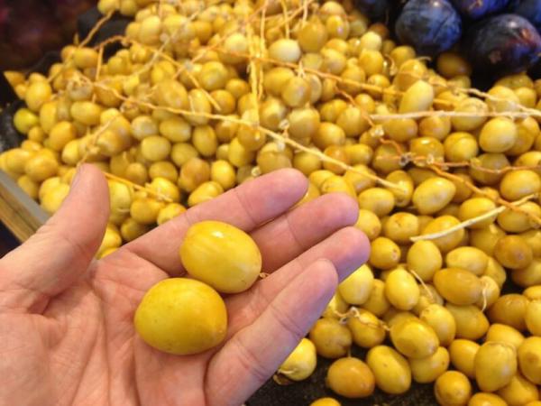 the Conditions of Preserving Yellow Dates