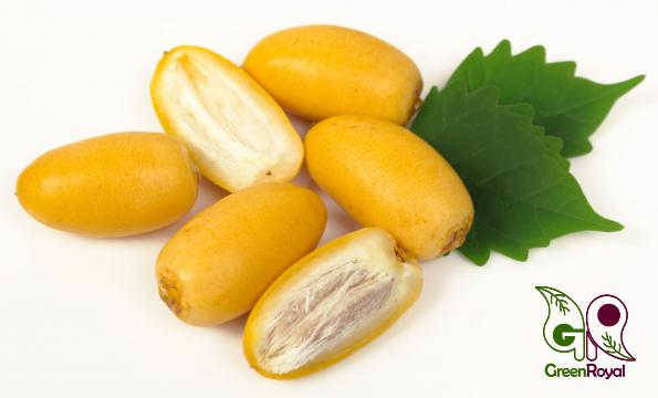 Best Quality Barhi Dates Available for Demanders