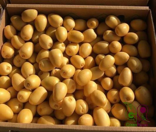 Wholesale Distribution of Fresh Barhi dates in Various Colors